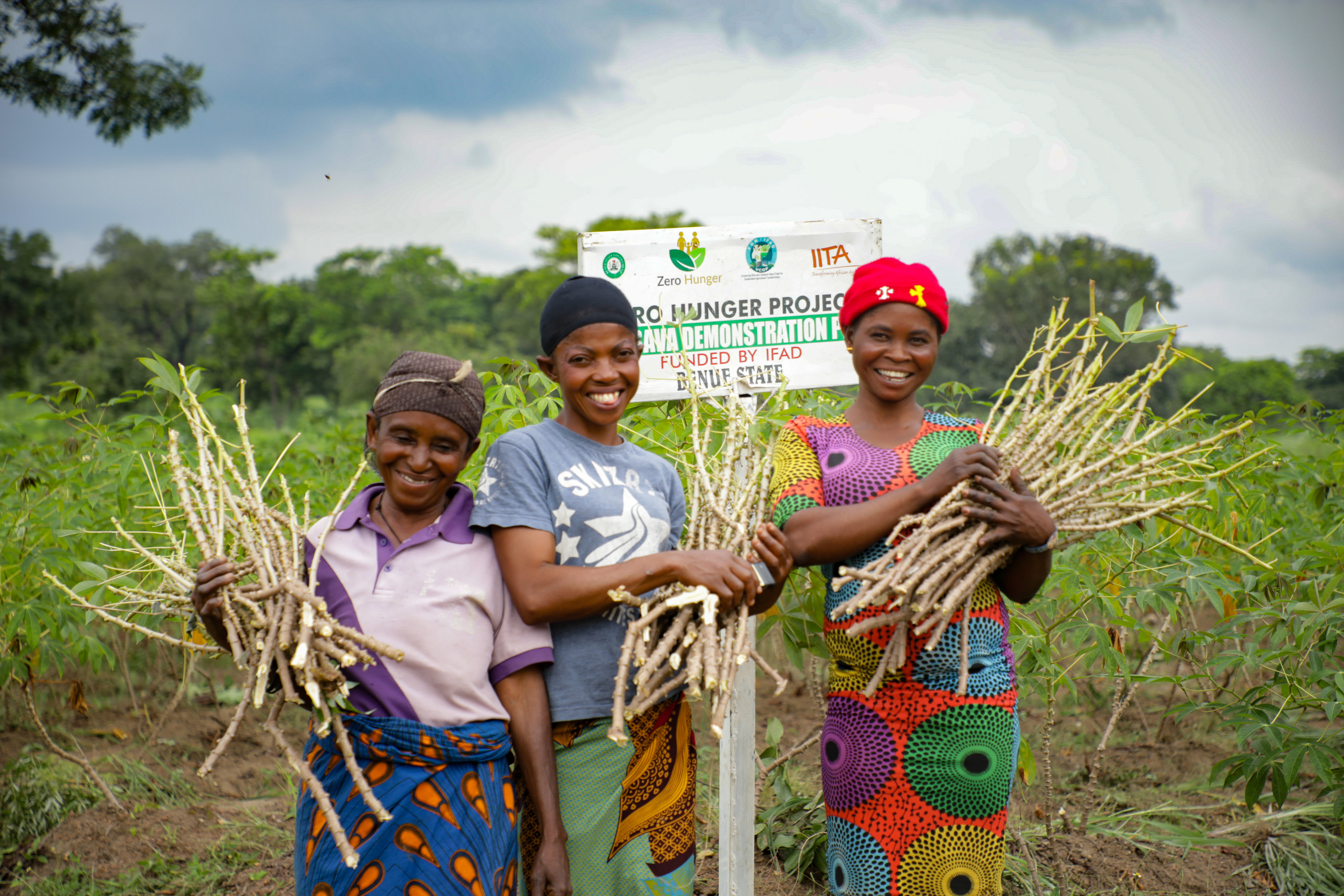 Economic & Social Impact
